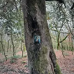 Σπίτι διακοπών Riverwood *