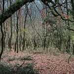 Riverwood Σπίτι διακοπών *
