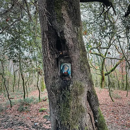 度假居 Riverwood *