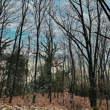 Riverwood 度假居