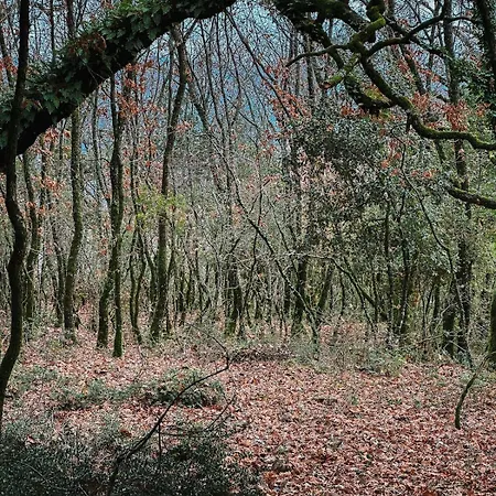 Riverwood 度假居 *