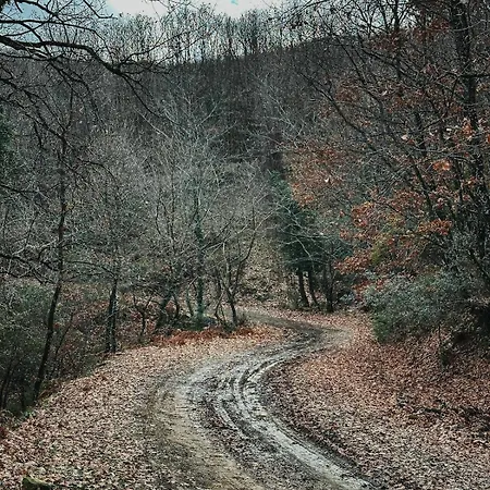 度假居 Riverwood