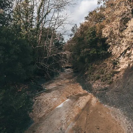 Riverwood 度假居 *